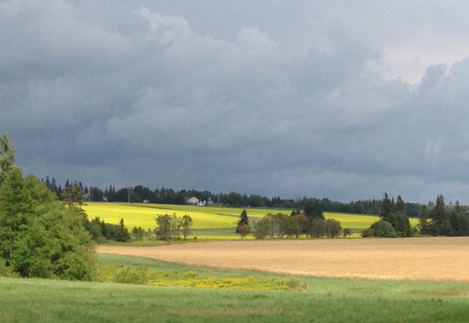 Tryon fields before the storm! Tryon, Prince Edward Island, CA