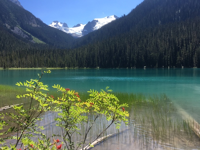 Beautiful day at Joffre Lake Joffre Lakes Provincial Park, Mount Currie, BC