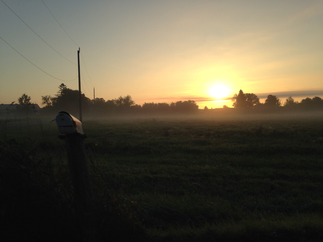 Misty morning Ajax, Ontario, CA