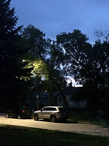Morning with street light Winnipeg, Manitoba, CA