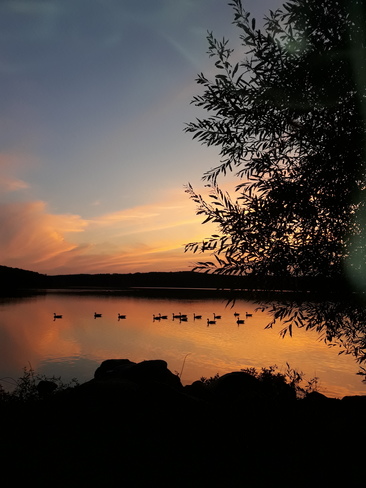 little lake sunset Midland, ON