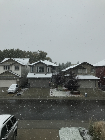 Snow!!! Edmonton, Alberta, CA