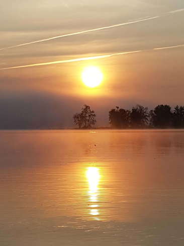 Morning sunrise at Petrie Orléans, ON