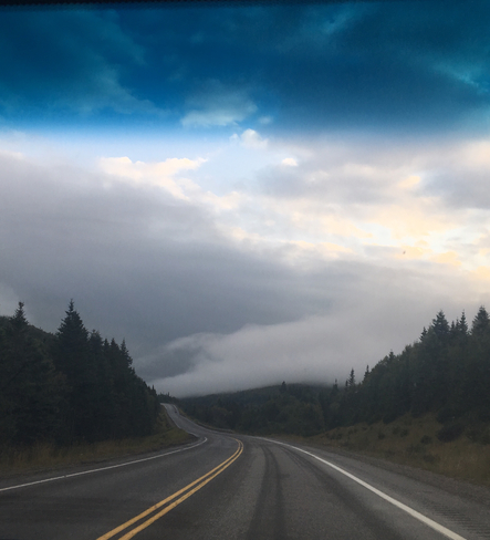 A gloomy old day. Whites Road, Newfoundland and Labrador, CA