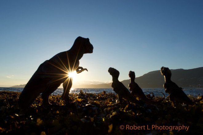 T.rex family sunset English Bay Beach, Vancouver, BC