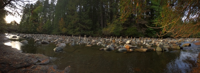 Panoramic photo of markers in the Browns River Courtenay, BC