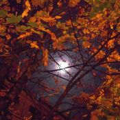 Lune d&#39;automne