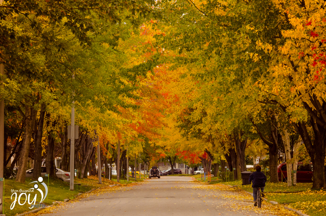 L'automne dans mon quartier Arvida, Saguenay, QC