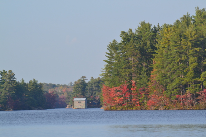 Fall on Mellon Lake Stone Mills, ON