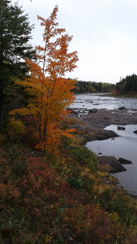 Fall has set in - Rushy Pond Cabin Area Milltown-Head of Bay d'Espoir, NL