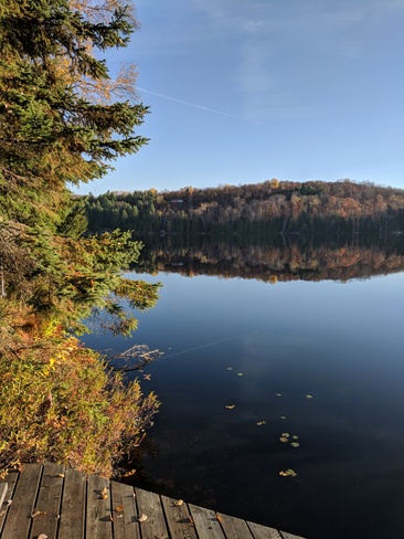 Beautiful fall morning on Monck Lake Highlands East, ON