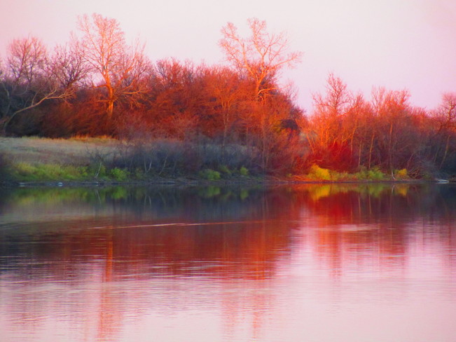 Red Reflections on Trees Kindersley, SK