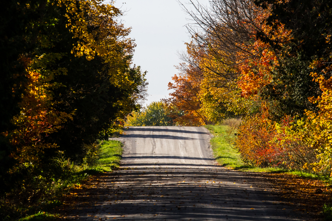Country Road In Autumn Uxbridge, ON