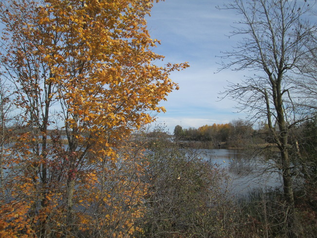 Autumn along Rideau River near Burritts Rapids Burritts Rapids, Ottawa, ON