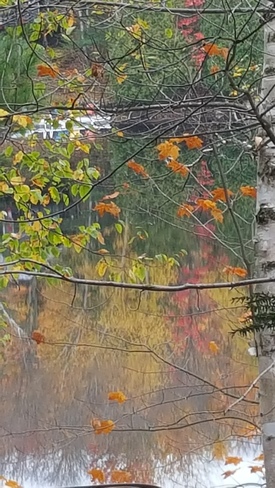 Autumn Reflection on Koshlong Lake Haliburton, ON