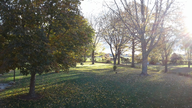 Bright autumn morning Tecumseh, ON