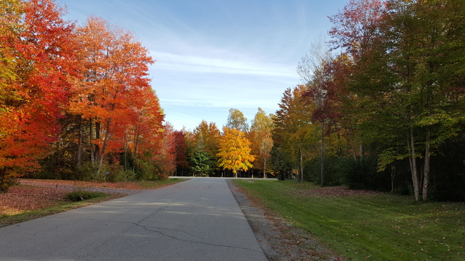 Fall colours Richmond, Ottawa, ON