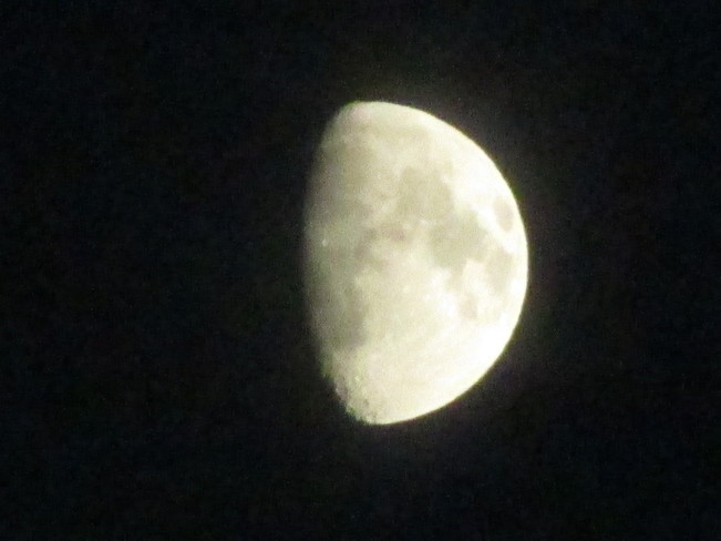 moon Surrey, BC