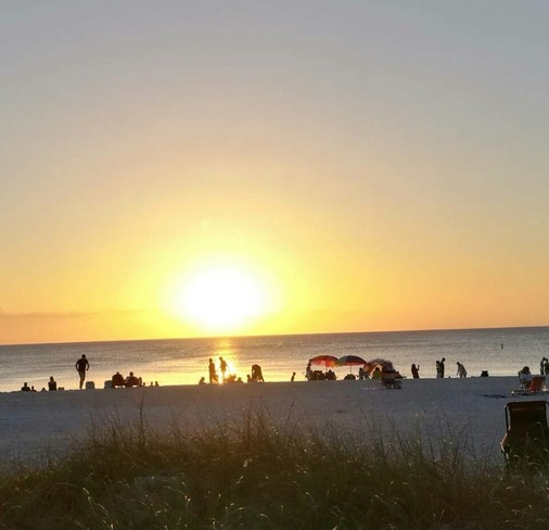 Beautiful sunset Sarasota, FL