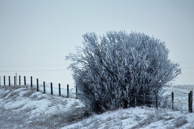 Frosty day in Stavely Stavely, AB