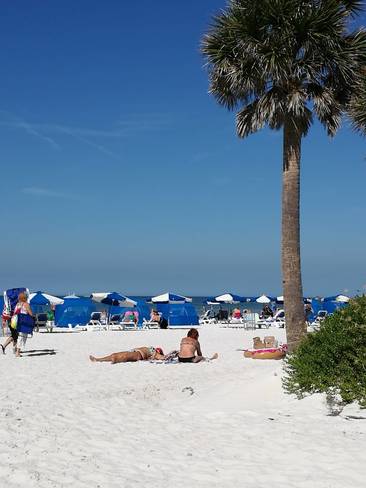 Beach day Clearwater, FL