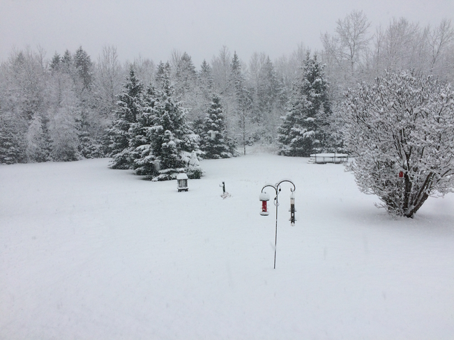 De la neige Ã  st alexis des monts Saint-Alexis-des-Monts, Québec, CA