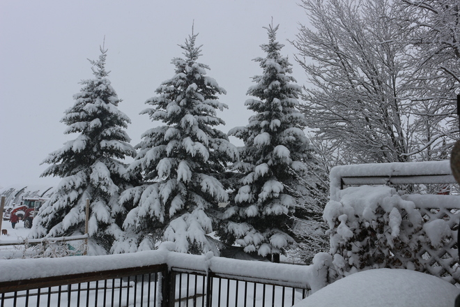 Belle neige blanche, forÃªt bien dÃ©corÃ© pour NoÃ«l. 1037 Rang Lahaie, Belcourt, QC J0Y, Canada