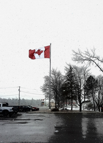 canadian flag Shelburne, ON