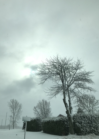 PremiÃ¨re bordÃ©e de neige Ontario : soleil? Dalhousie, Québec, CA
