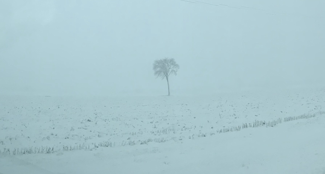 PremiÃ¨re bordÃ©e de neige Ontario : arbre Chute-à-Blondeau, Ontario, CA