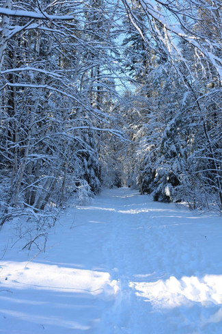 Walking in a Winter Wonderland! Timmins, Ontario, CA