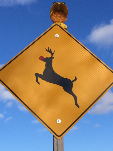 Rudolph crossing! Brant, Ontario | N0B 1W0