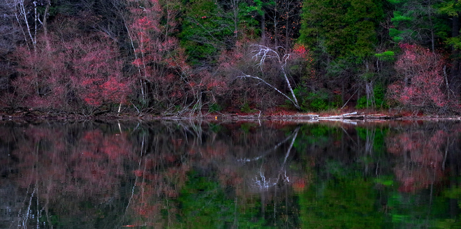 Autumn Bond Lake Richmond Hill, ON