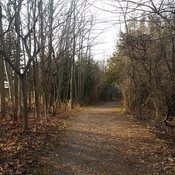 A great day for a Nature Trail Walk in December