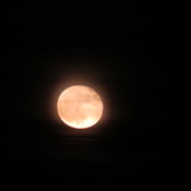 Belle Lune