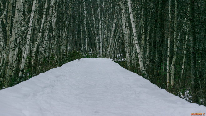 Sentier en hiver Base de plein air de Sainte-Foy, Rue Laberge, Sainte-Foy-Sillery-Cap-Rouge, Ville de Québec, QC