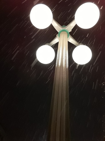 Night time snowfall Ottawa, ON