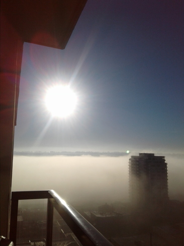 what a foggy morning New Westminster, BC