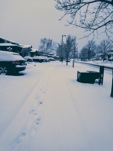 first snow of the season Woodbridge, ON