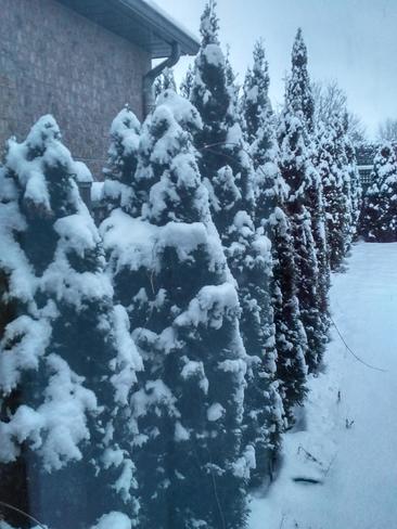 early snowy morning Hamilton, ON