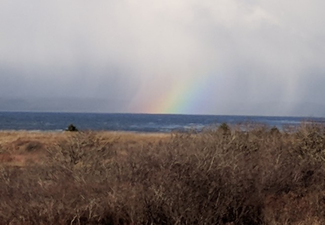 rainbow Weymouth, NS