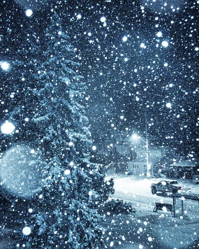 heavy snowfall on Riverside Drive Windsor, ON