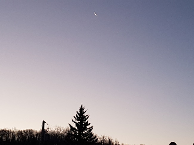 Tiny sliver moon Athabasca, AB