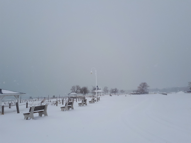 Snowy Friday Port Elgin, ON