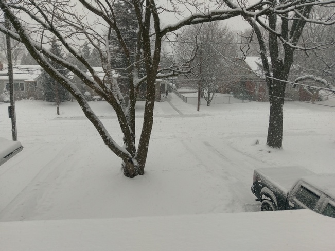 let it snow Burlington, ON