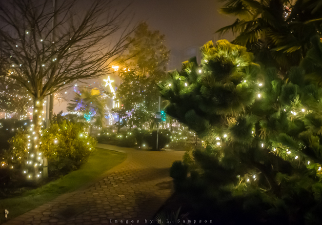 Foggy Night with Christmas Lights Langford, BC