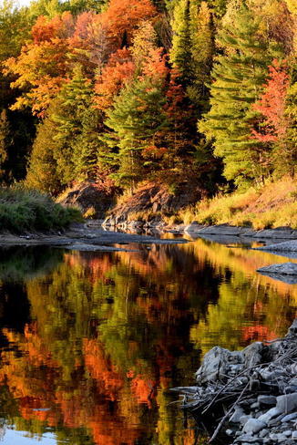 river reflection Woodstock, NB
