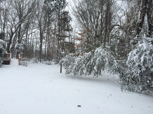 Chesapeake, VA snowstorm Chesapeake, Virginia, United States