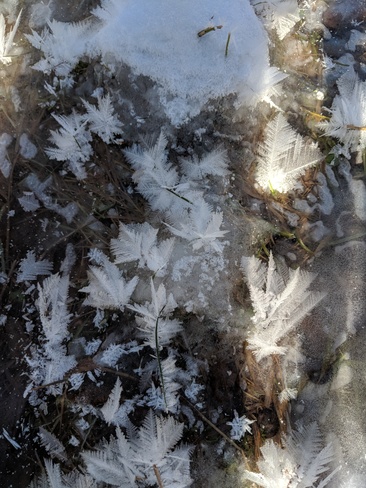 feathered ice Burlington, ON