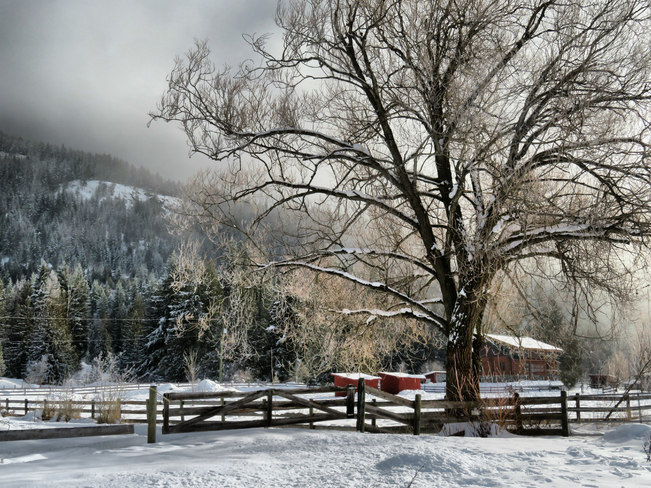 Winter on the farm in Enderby. Enderby, BC